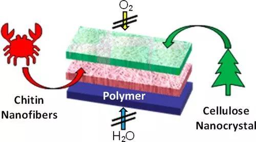 蟹殼和樹纖維膜